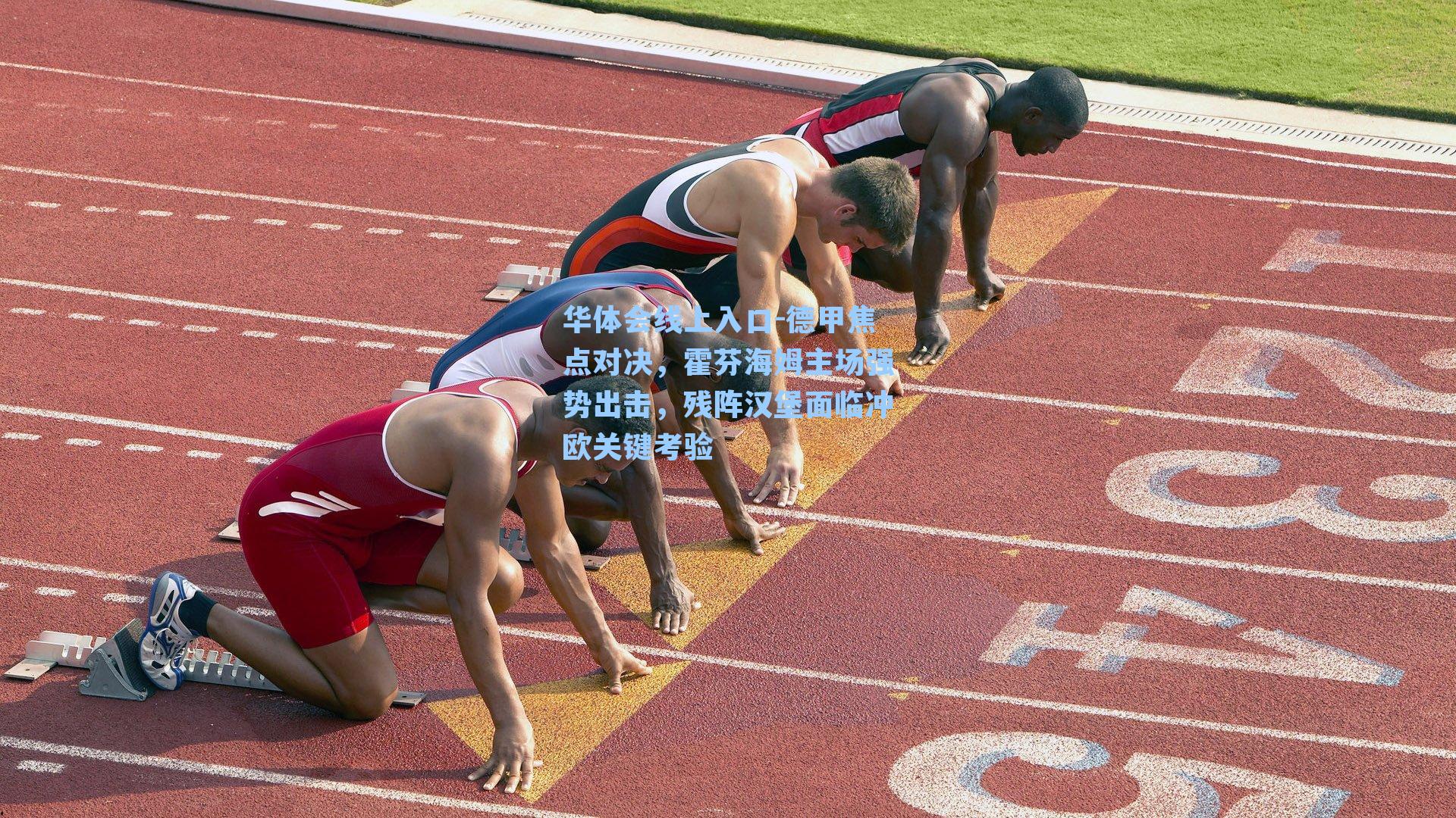 德甲焦点对决,霍芬海姆主场强势出击,残阵汉堡面临冲欧关键考验