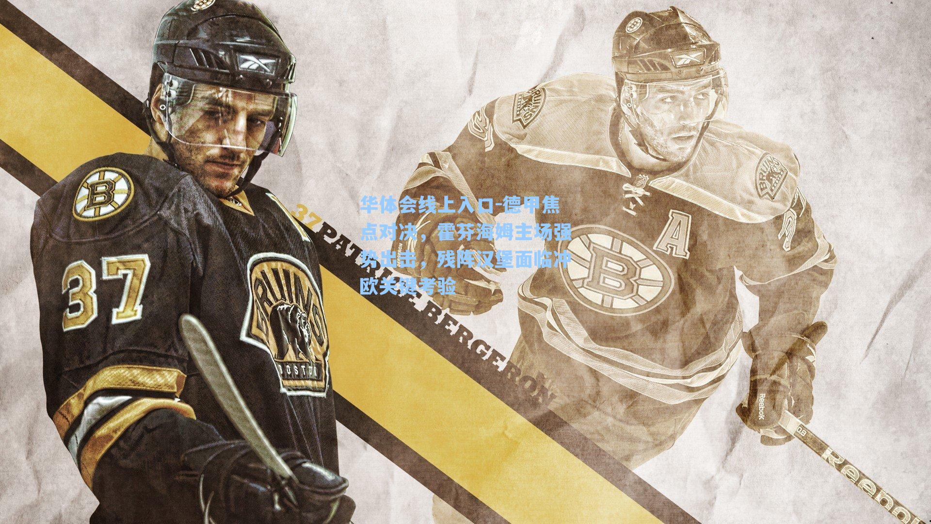 德甲焦点对决,霍芬海姆主场强势出击,残阵汉堡面临冲欧关键考验